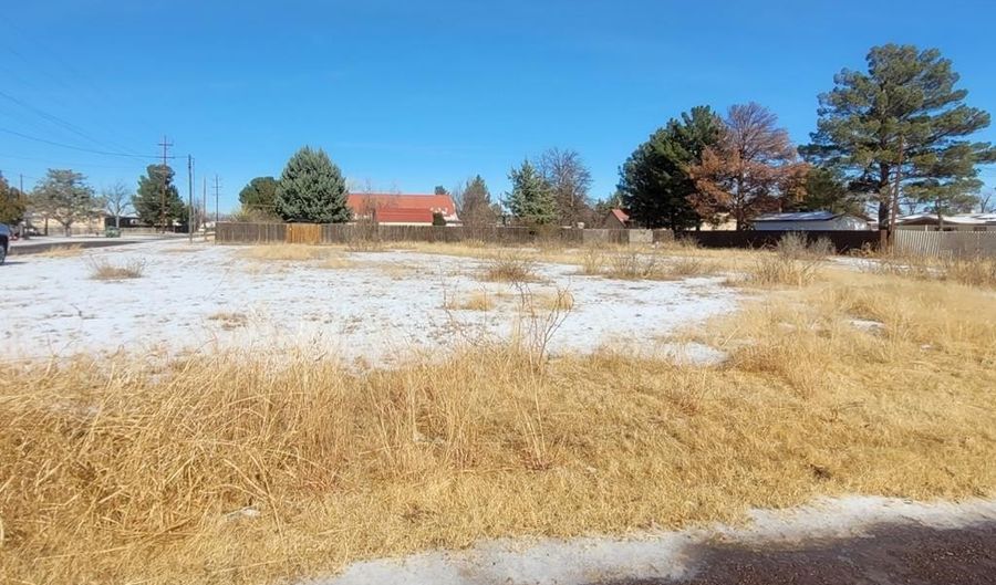 7 Th St Lot 5 & 6, Alpine, TX 79830 - 0 Beds, 0 Bath