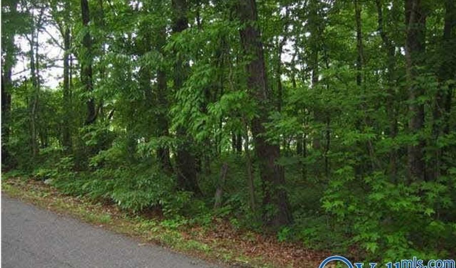 01 8th Ave, Arab, AL 35016 - 0 Beds, 0 Bath