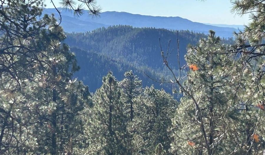 490 Hilltop Dr, Bayfield, CO 81122 - 0 Beds, 0 Bath