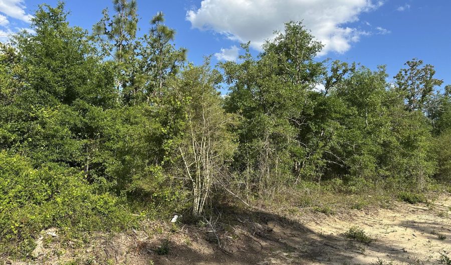 NW Lakeside Avenue lot 16 & 17, Altha, FL 32421 - 0 Beds, 0 Bath