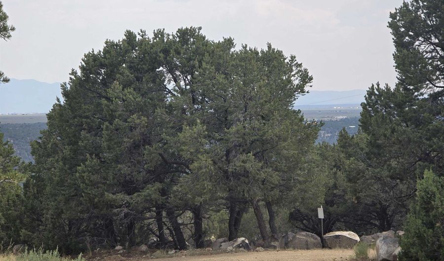 Lobo Ranch Road, Arroyo Hondo, NM 87513 - 0 Beds, 0 Bath
