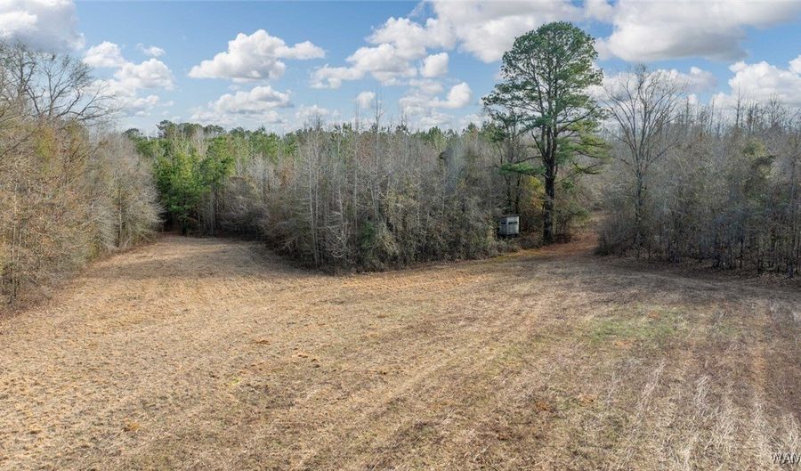 Brush Creek Dr, Akron, AL 35441 - 0 Beds, 0 Bath