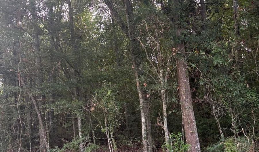 Alcide Circle lot 34 35, Abbeville, LA 70510 - 0 Beds, 0 Bath