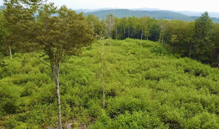 224 Arrau Rd, Andover, VT 05143 - 0 Beds, 0 Bath