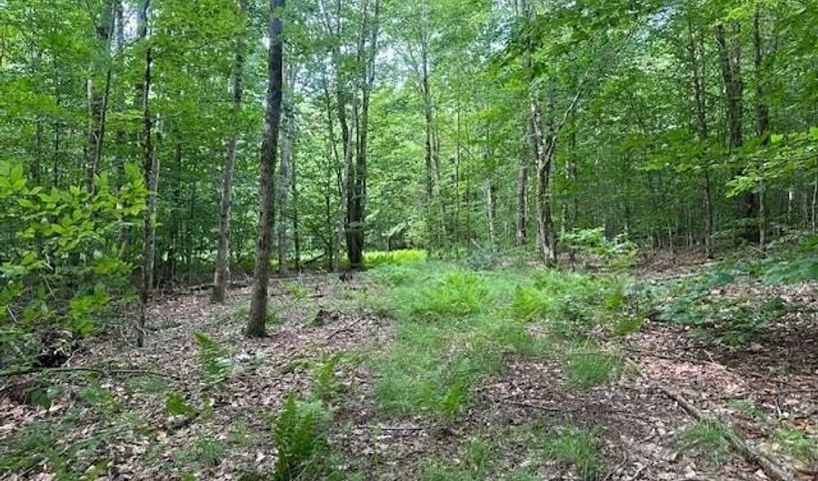 1430 Back Rd, Belvidere Center, VT 05442 - 0 Beds, 0 Bath