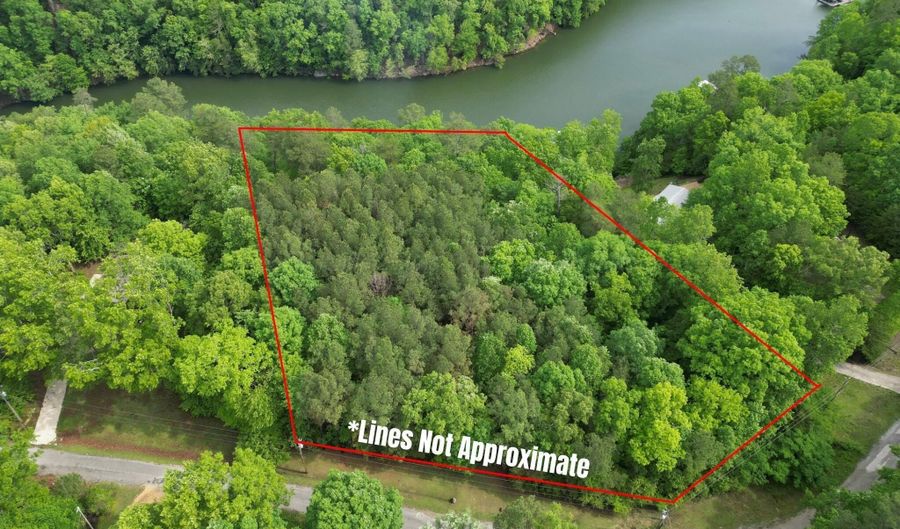 536 COUNTY ROAD 3902, Arley, AL 35541 - 0 Beds, 0 Bath