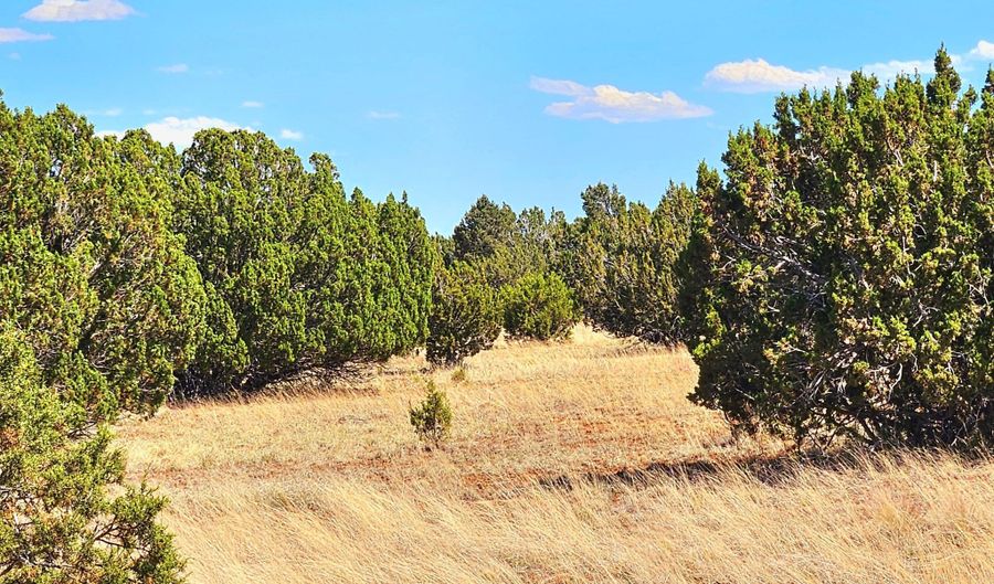 20 CO Rd, Concho, AZ 85924 - 0 Beds, 0 Bath