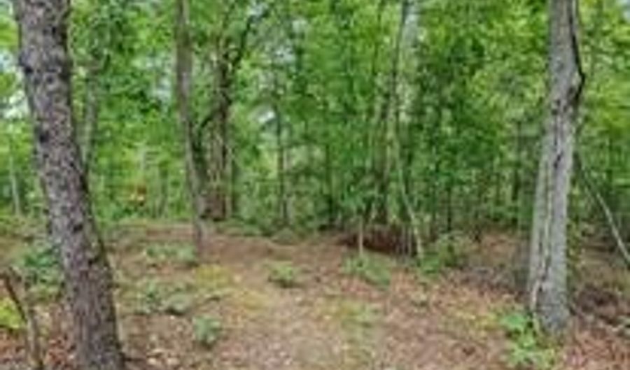 GALILEE ROAD, Big Pool, MD 21711 - 0 Beds, 0 Bath