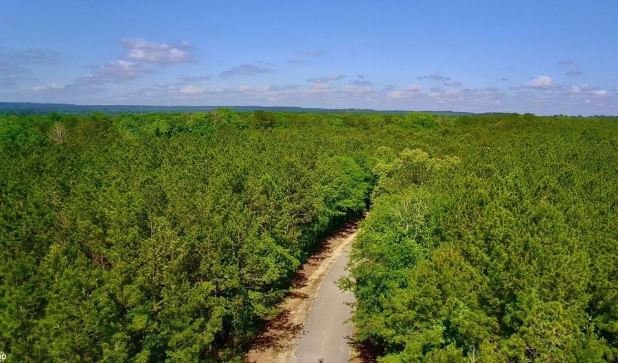 0 Pebble Cove Rd, Abbeville, AL 36310 - 0 Beds, 0 Bath