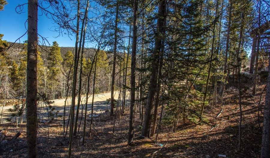 421 N Aspen St, Alma, CO 80420 - 0 Beds, 0 Bath