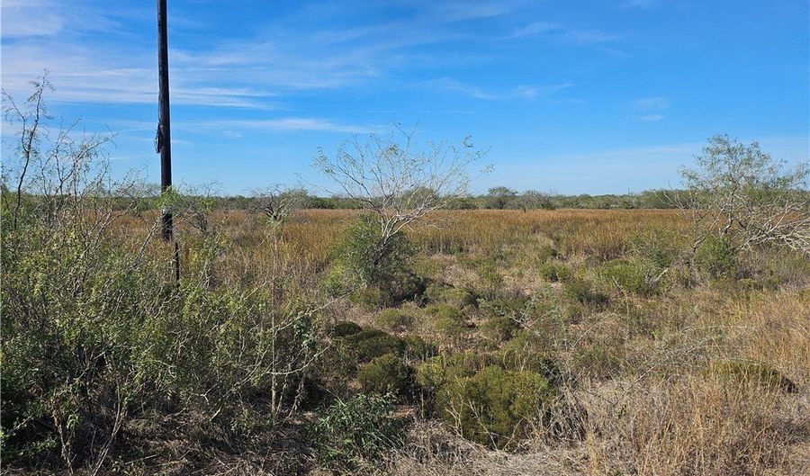 12 County Road 1431 Lot 12, Alice, TX 78384 - 0 Beds, 0 Bath