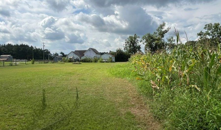 4180 McConnell Bridge Rd, Adel, GA 31620 - 2 Beds, 1 Bath