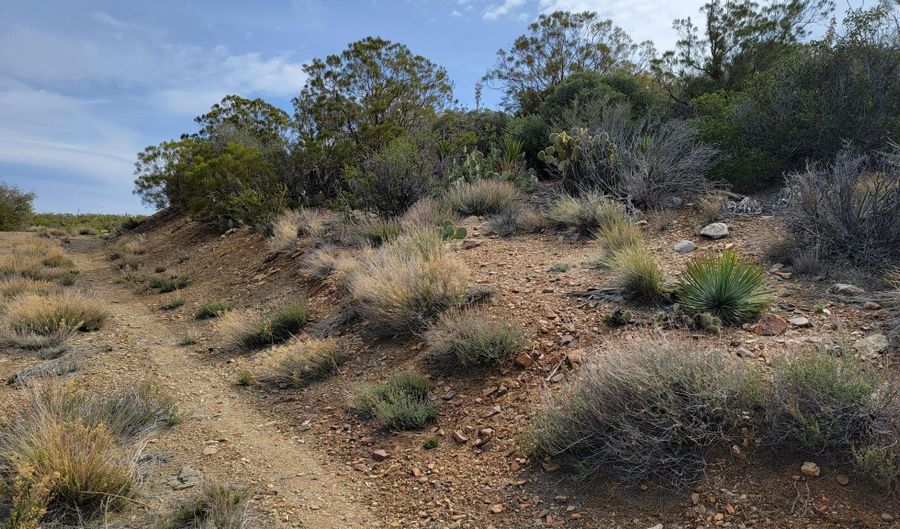 000 Palace Dr, Mountain Center, CA 92561 - 0 Beds, 0 Bath