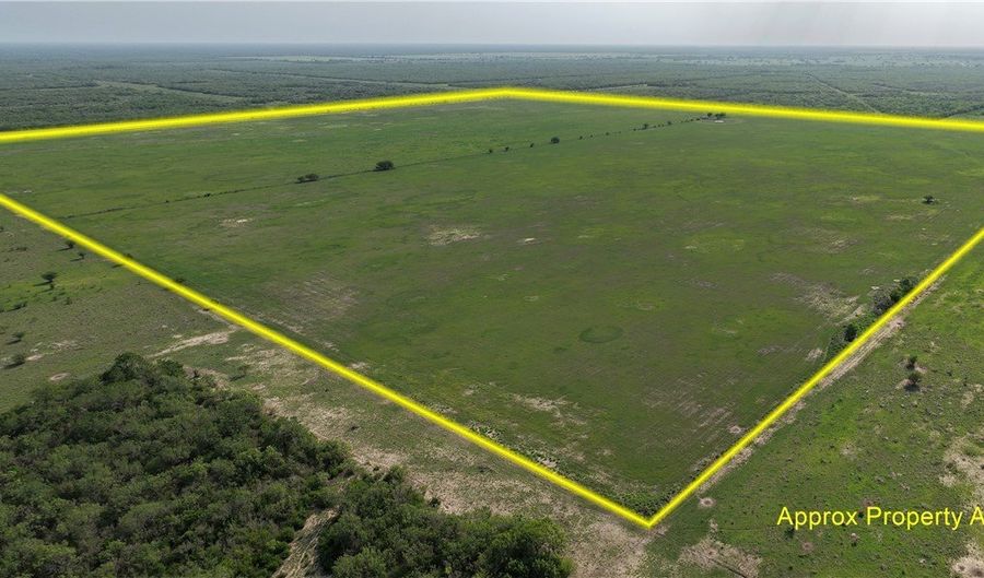 FM 1352, Alice, TX 78332 - 0 Beds, 0 Bath