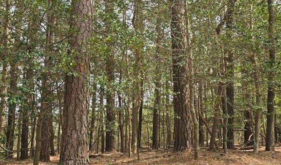 92 FOLLY CREEK Rd Lot 92, Accomac, VA 23301 - 0 Beds, 0 Bath