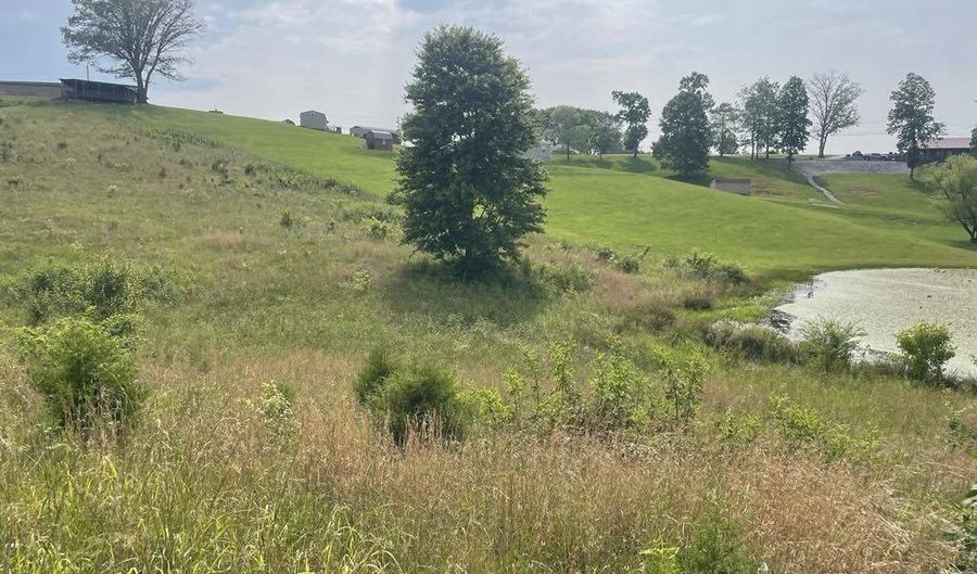 Tract 17A Billy Herold Johnson Subdivision, Albany, KY 42602 - 0 Beds, 0 Bath