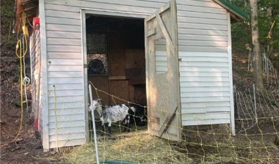 1571 State Highway 7, Afton, NY 13730 - 3 Beds, 1 Bath