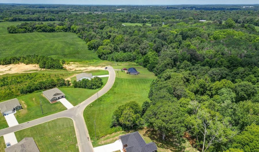 Lot 70 Paraiso Creek Drive, Albertville, AL 35950 - 0 Beds, 0 Bath