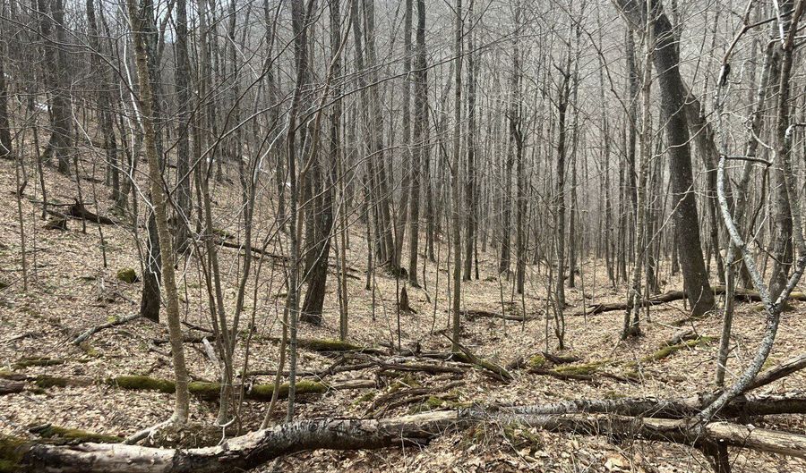 0 TBD Elleber Sods Rd, Bartow, WV 24920 - 0 Beds, 0 Bath