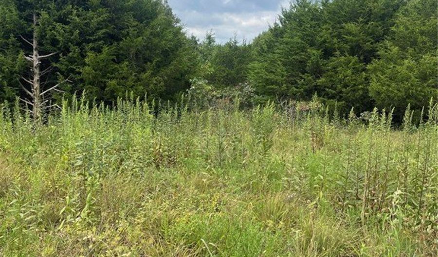 Cr 972 lot 0, Alpena, AR 72611 - 0 Beds, 0 Bath