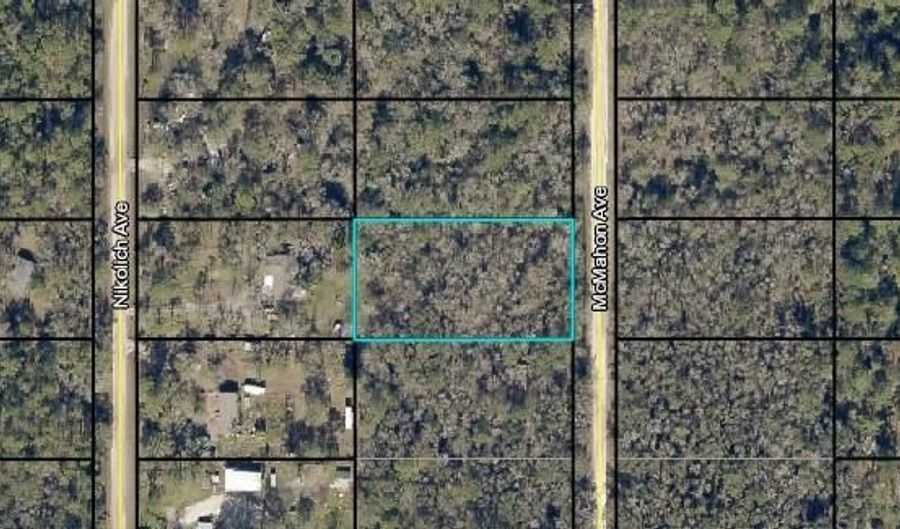 10035 Mcmahon Ave, Hastings, FL 32145 - 0 Beds, 0 Bath