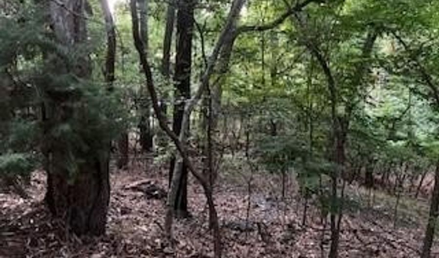 Vinita Circle, Monkey Island, OK 74331 - 0 Beds, 0 Bath