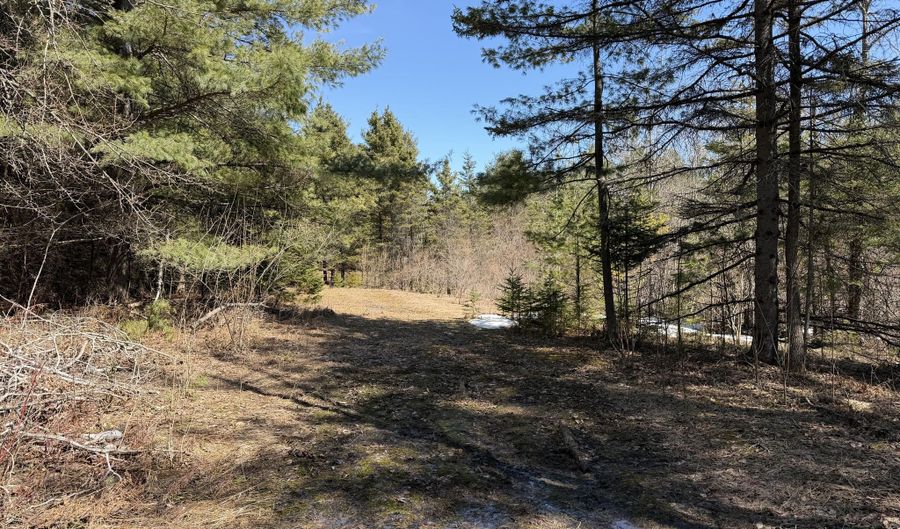 18 83 AC M32 W, Alpena, MI 49707 - 0 Beds, 0 Bath