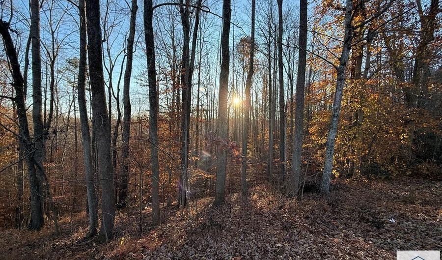 0 Columbus Dr, Bassett, VA 24055 - 0 Beds, 0 Bath