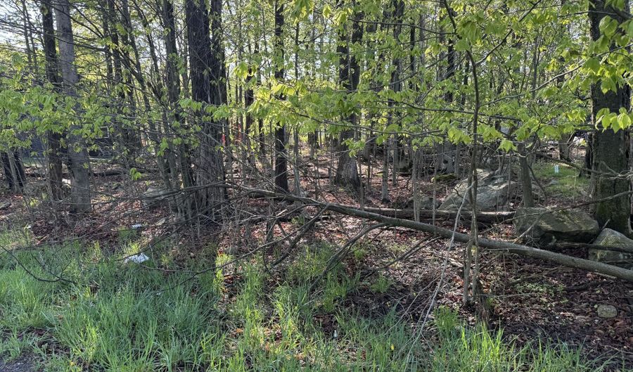 Lot K204 Knollwood Dr Drive, Tobyhanna, PA 18466 - 0 Beds, 0 Bath