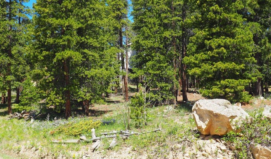 Caesar Rd, Black Hawk, CO 80422 - 0 Beds, 0 Bath