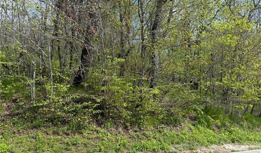 44 Fox Paw Ln, Banner Elk, NC 28604 - 0 Beds, 0 Bath