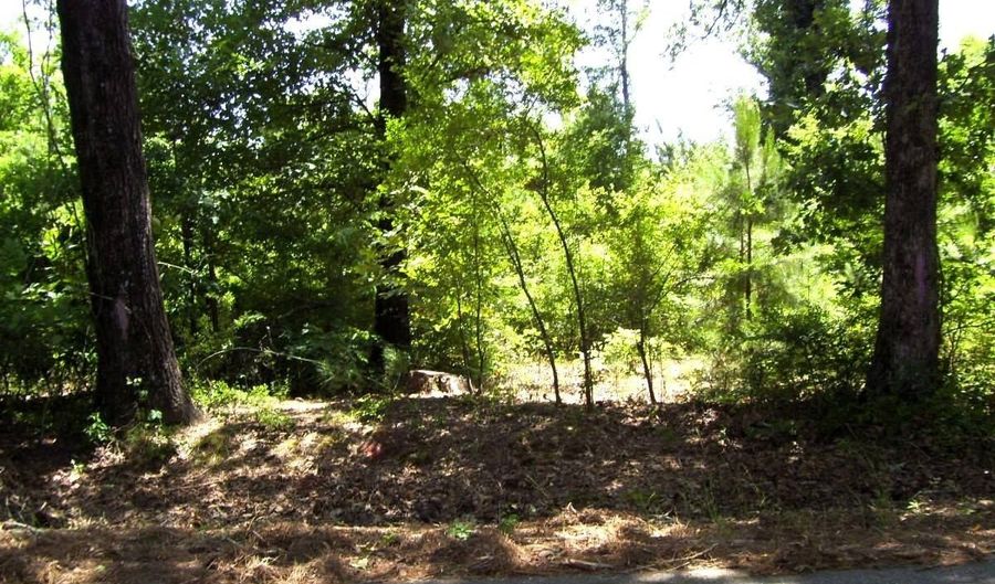 1131 LR 35, Ashdown, AR 71822 - 0 Beds, 0 Bath