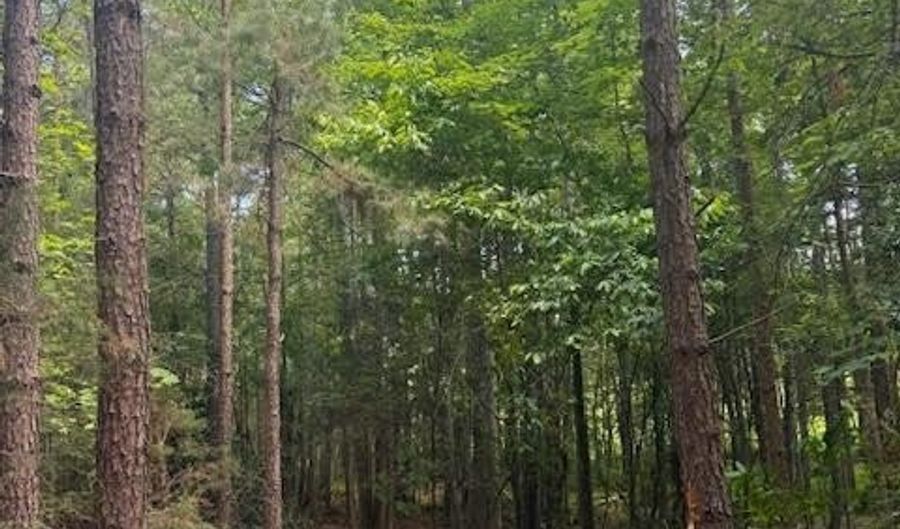 Piney Mountain Rd, Appomattox, VA 24522 - 0 Beds, 0 Bath