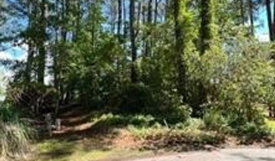 11043 PINEY ISLAND Dr, Bishopville, MD 21813 - 0 Beds, 0 Bath