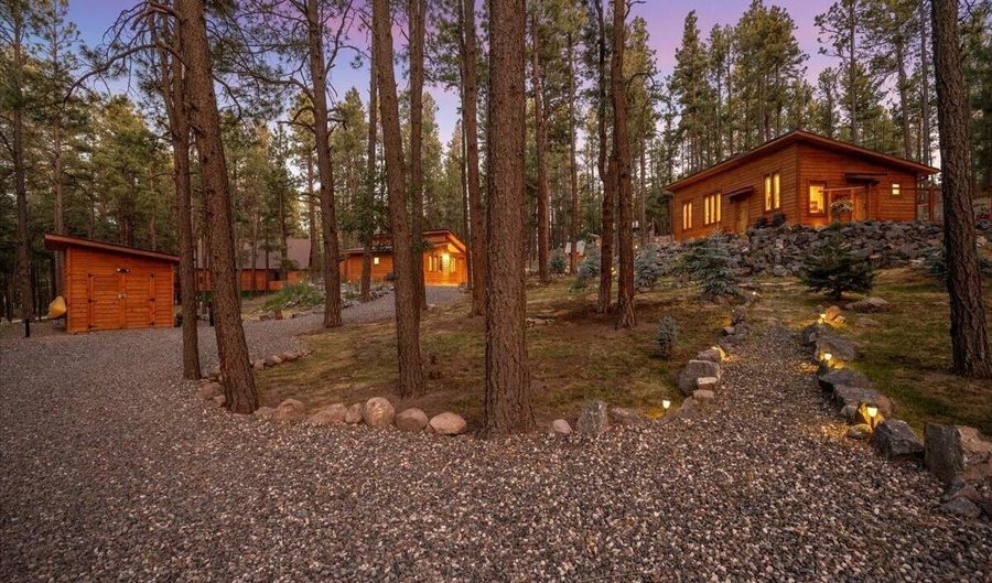 24 County Rd 2267, Alpine, AZ 85920 - 3 Beds, 3 Bath