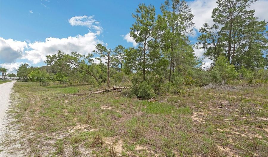 3055 Scoralick Rd, Avon Park, FL 33825 - 0 Beds, 0 Bath