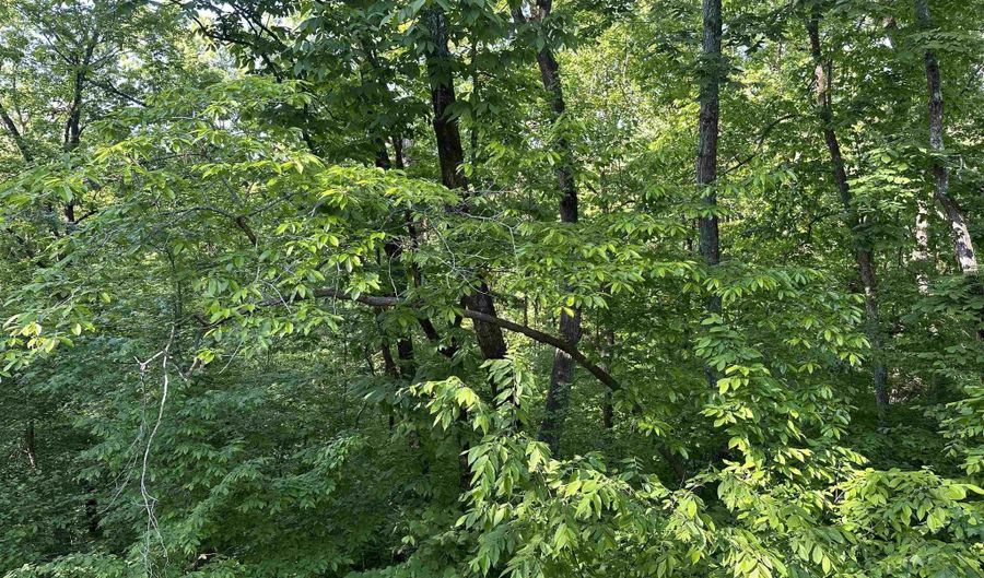 ALPINE DRIVE lot 73 Blk 6 Pt. Aquarius 1St Addn. S25t18r3 Court Dec, Alpine, AL 35014 - 0 Beds, 0 Bath