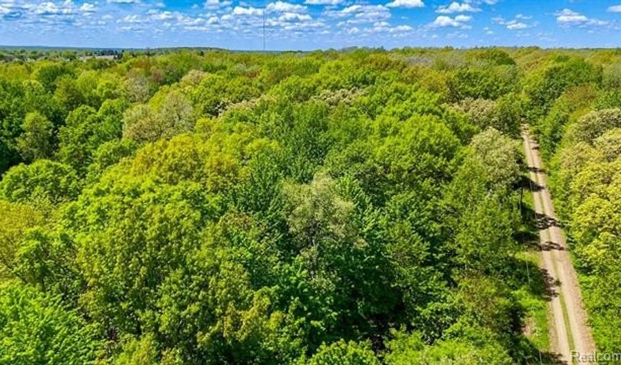 2905 N Lake Pleasant Rd, Arcadia, MI 48412 - 0 Beds, 0 Bath