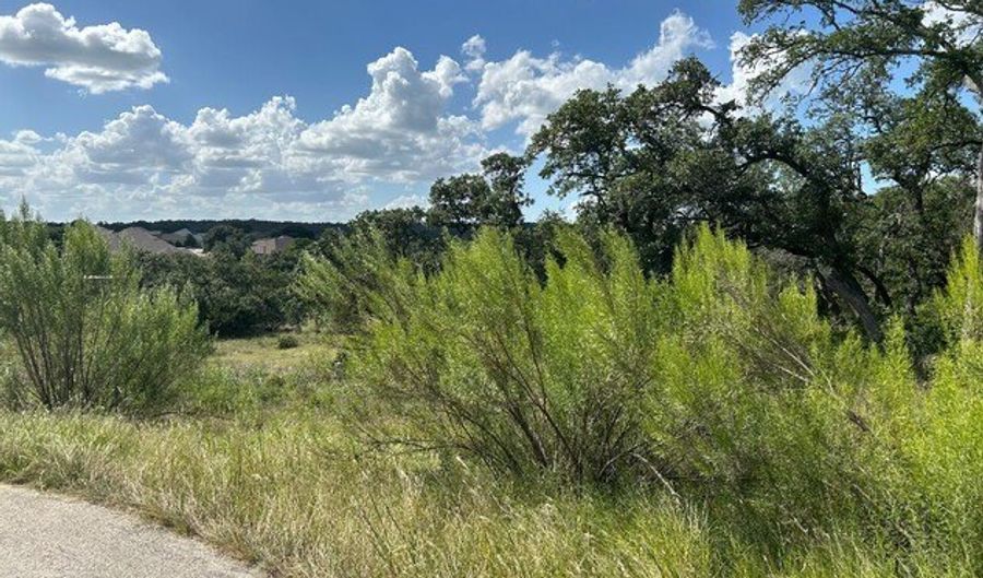 1728 CHARDONNAY, New Braunfels, TX 78132 - 4 Beds, 3 Bath