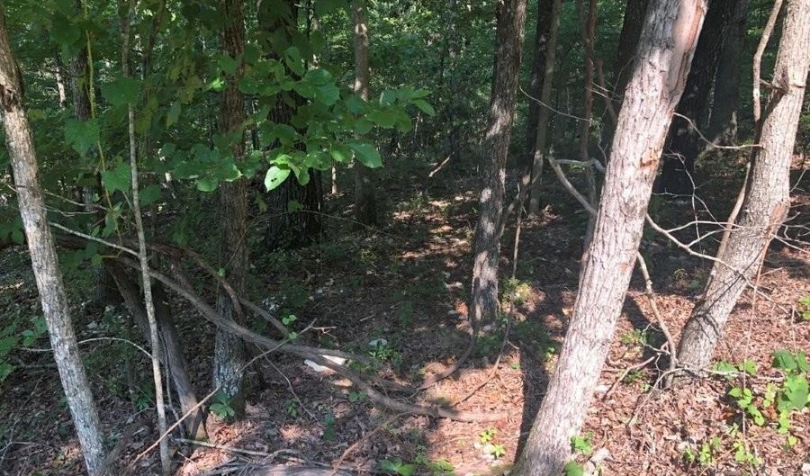 Lot 13 Cawood DR, Bella Vista, AR 72714 - 0 Beds, 0 Bath