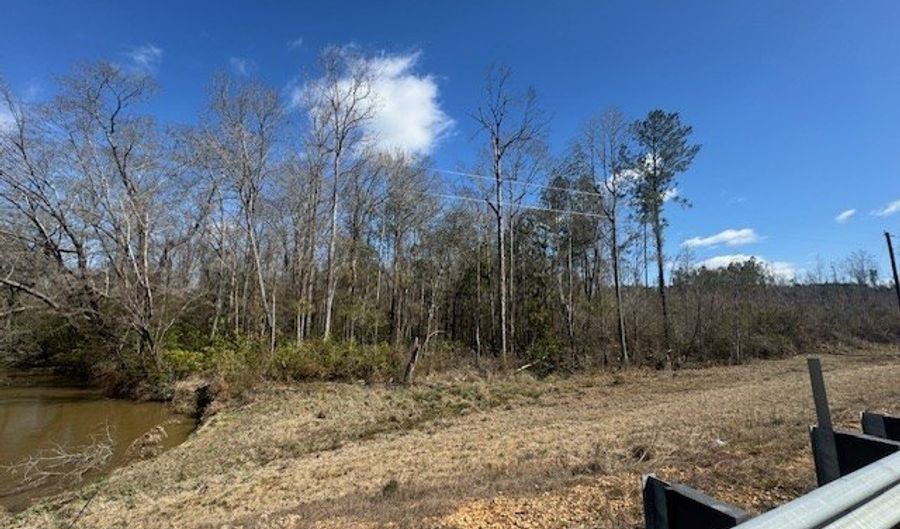 1111 Mount Olive Rd SE, Bogue Chitto, MS 39629 - 0 Beds, 0 Bath