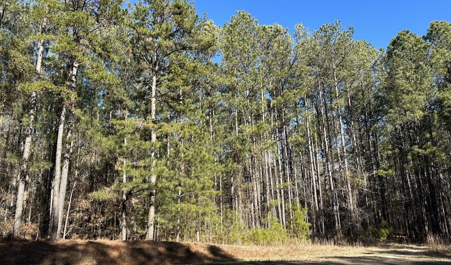 Lot 37 PETERSBURG Trace, Lincolnton, GA 30817 - 0 Beds, 0 Bath