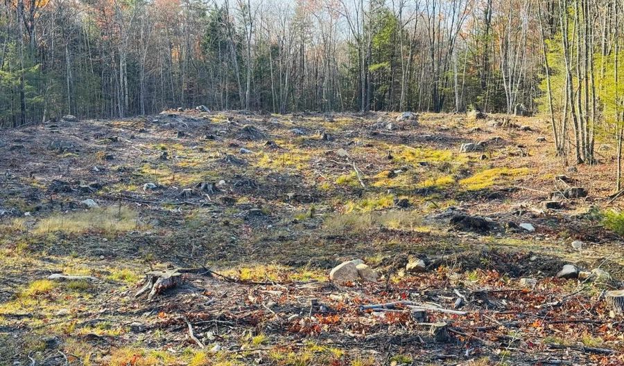 Lot 77 Homestead Lane, Barrington, NH 03825 - 0 Beds, 0 Bath