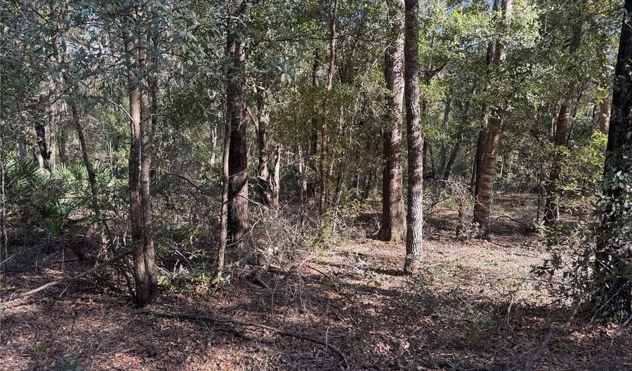 NE 123RD CT, Archer, FL 32618 - 0 Beds, 0 Bath