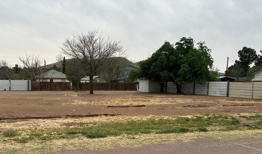 1506 N 6th St, Alpine, TX 79830 - 0 Beds, 0 Bath