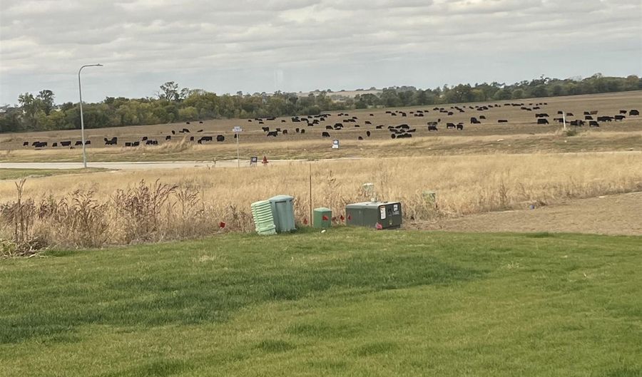 1010 Bluejay Cir, Ashland, NE 68003 - 5 Beds, 3 Bath