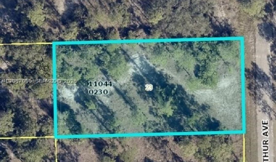 2321 Macarthur Ave, Lehigh Acres, FL 33920 - 0 Beds, 0 Bath