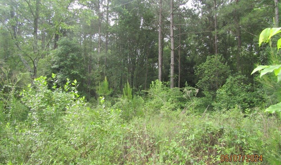 7275 Beulah Ln, Baconton, GA 31716 - 0 Beds, 0 Bath