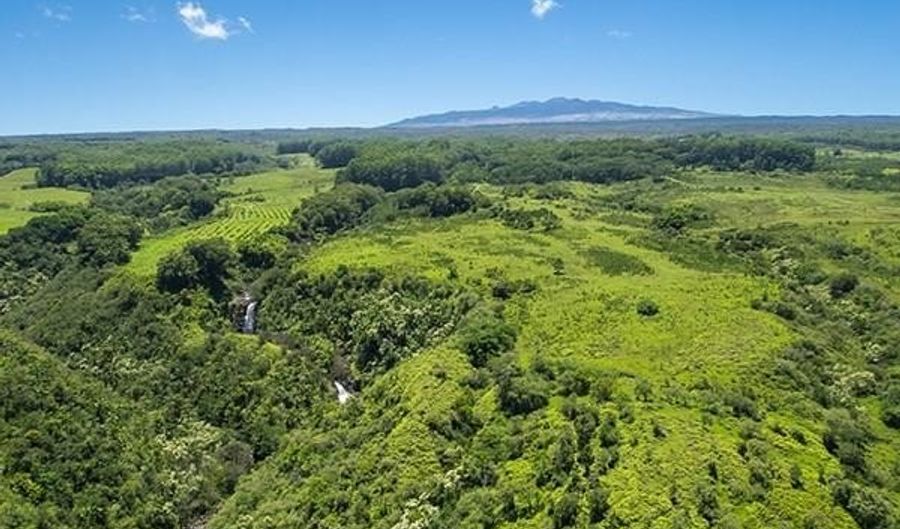 29-820 Chin Chuck Rd Lot #: G, Hakalau, HI 96710 - 0 Beds, 0 Bath