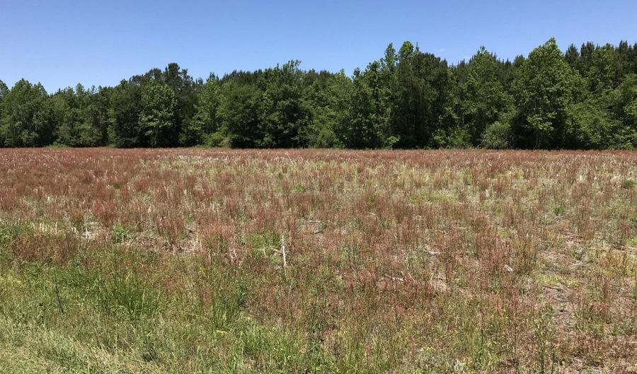 5700 Little Prong Rd NW Lot 2, Ash, NC 28420 - 0 Beds, 0 Bath